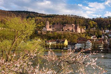 De lente in Heidelberg van Michael Valjak
