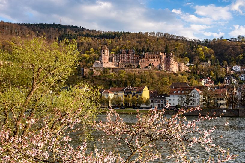 Frühling in Heidelberg von Michael Valjak