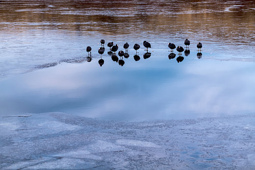 Ice Blue 2