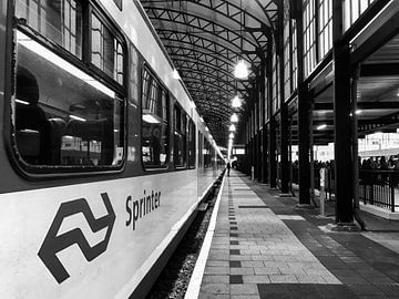 NS Station La Haye Hollands Spoor | Noir et blanc sur Carel van der Lippe