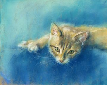 Süße kleine getigerte Katze