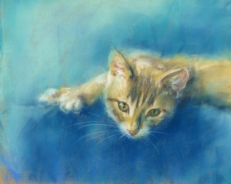 Adorable petit chat tigré par Karen Kaspar