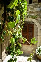 View through Saint-Paul-de-Vence