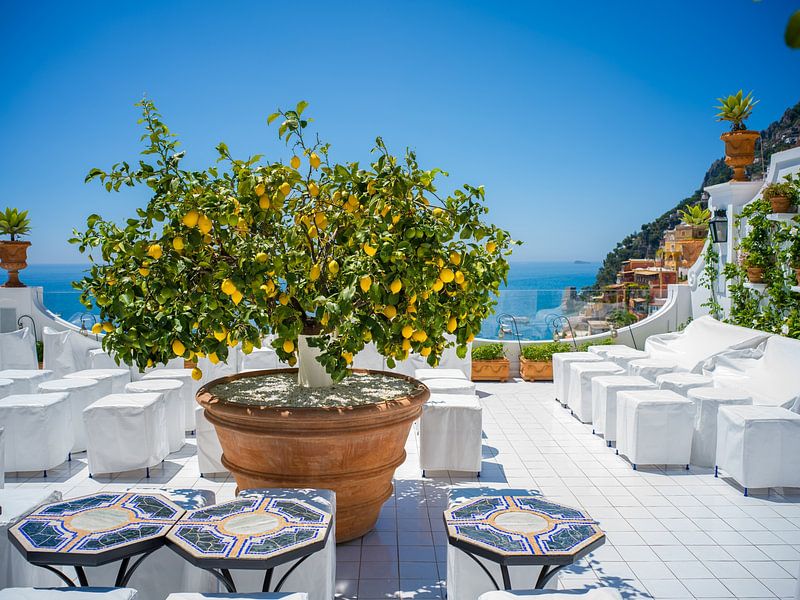 Lemon tree in Positano (Amalfi Coast) by t.ART
