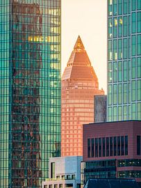 Frankfurt am Main met skyline