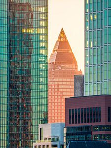 Frankfurt am Main mit Skyline