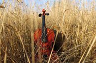 viool in gras van Marije du Bateau thumbnail
