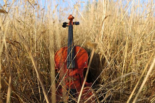 viool in gras van Marije du Bateau