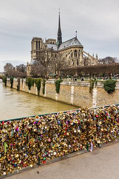 Notre Dame de la Pont de l'Archevêché von Dennis van de Water