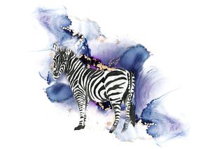 Zebra sur Lucia