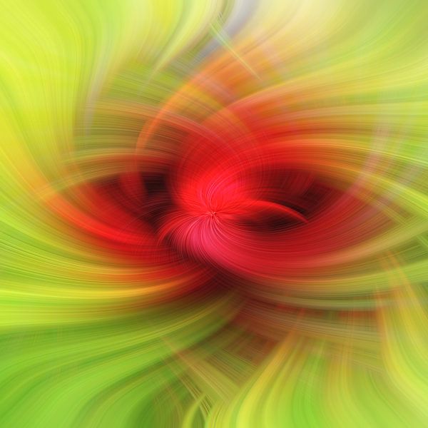 Fleur artistique par Bert Hooijer