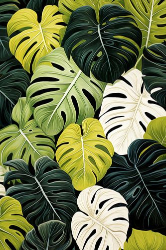 Monstera Bladeren Illustratie