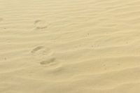 Footsteps in the sand