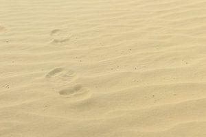 Footsteps in the sand van Photo Pim