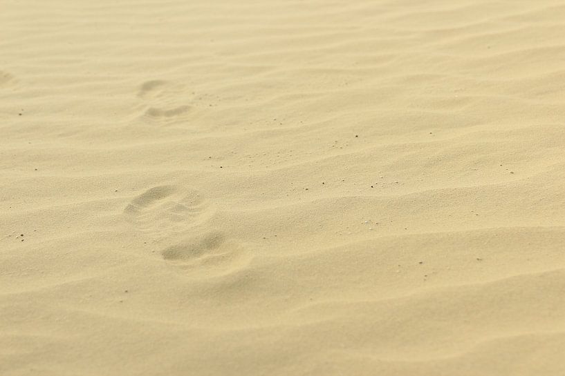 Footsteps in the sand by Photo Pim