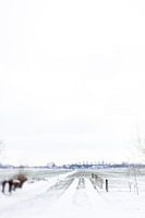 Winter wonderland | Linschoten | Pastel