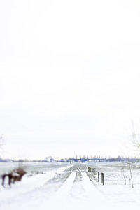 Winterwunderland | Linschoten | Pastell