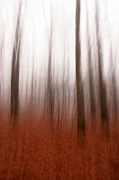 bewogen bomen iii/iii