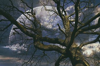 Baumkrone und Planet