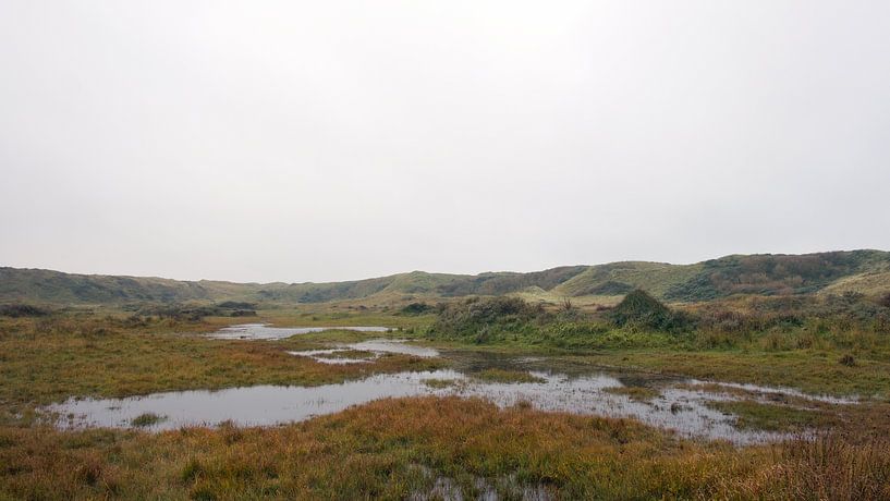 Blick von einem niedrigen Punkt in einem Dünental. von Rob Liefveld