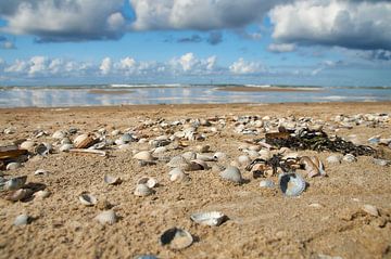 Strand met schelpen Texel van Ad Jekel