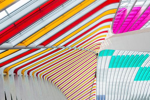 Station Luik - Guillemins van Daan Duvillier | Regio in de Kijker