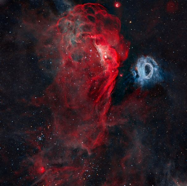 The Cosmic Reef by Vikas Chander