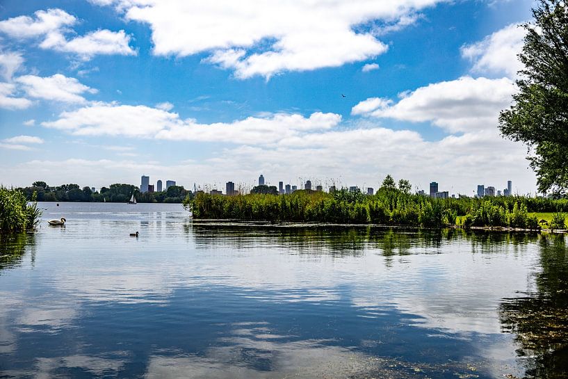Blick auf die Skyline von Rotterdam vom Kralingse Bos von Nicolette Suijkerbuijk
