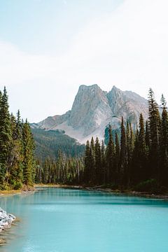 Bergen bij Emerald Lake in Banff, Canada van Marit Hilarius