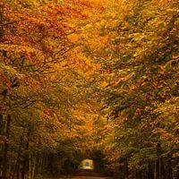 Herfst