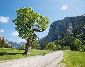 fietsroute Ahornboden, lentelandschap Tirol oostenrijk van SusaZoom