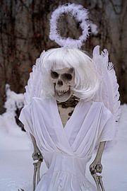 Last angel skeleton of an angel in white snow