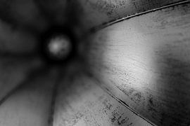 Grammophone sur Steven Dijkshoorn