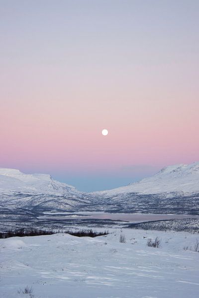 Polar night in Swedish Lapland by Milou Hinssen