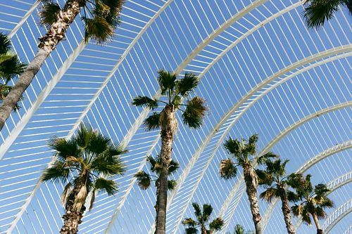 Ciudad de las Artes y las Ciencias in Valencia