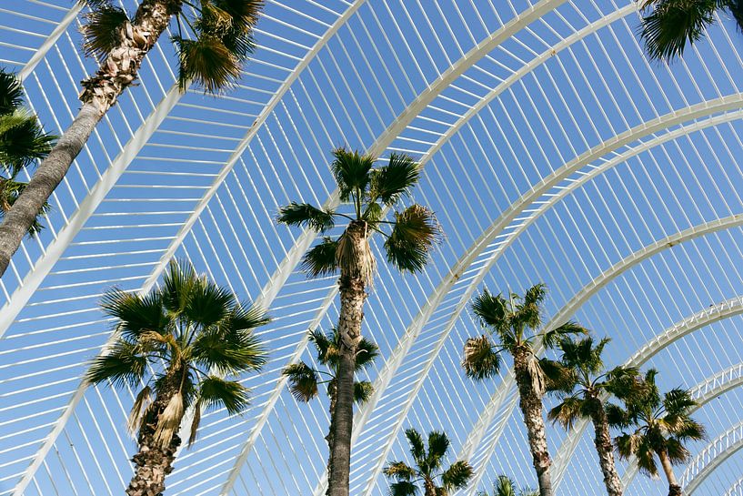 Ciudad de las Artes y las Ciencias à Valence par Clazien Boot