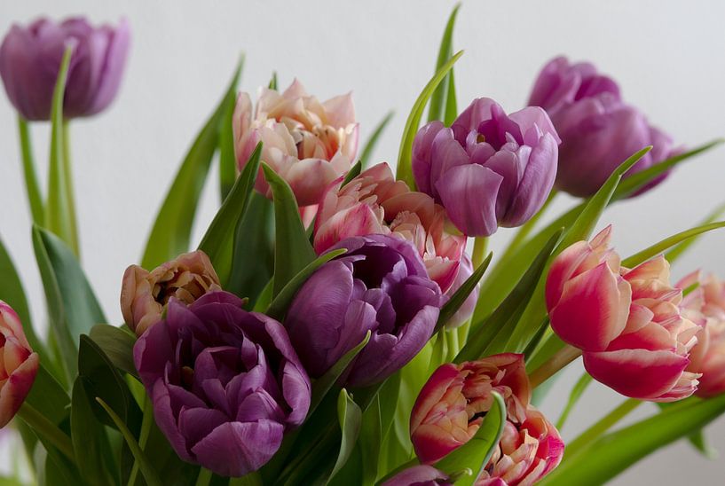 Forêt de tulipes nostalgique par Jolanda de Jong-Jansen