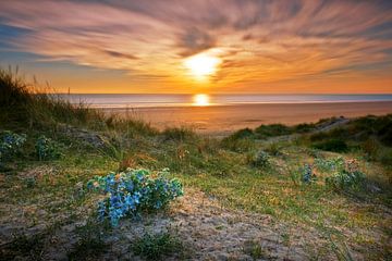 La plage de Baubigny sur Ruud Peters