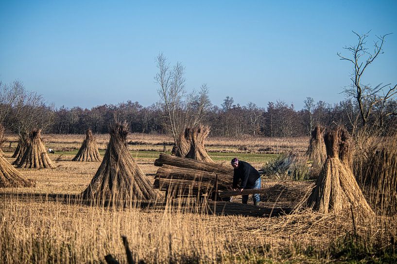 Thatching in Drente by Brian Morgan