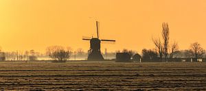 Ochtendgloren in de polder
