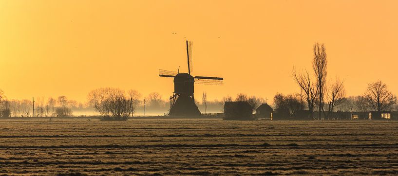 Ochtendgloren in de polder by Stephan Neven
