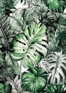 Monstera Blätter Natur Kunst