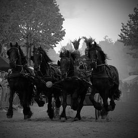 Roman chariot by Harry Kool