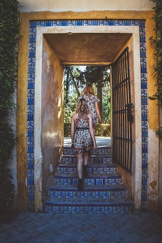 Follow your dreams and grab another door