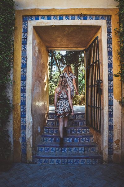 Follow your dreams and grab another door by Maartje Abrahams