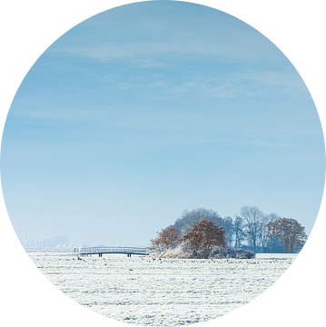 Winterlandschap Nederland