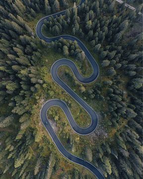 Snake road dolomieten van Ashwin wullems