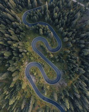 Snake road dolomieten van Ashwin wullems