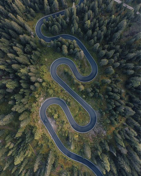 Snake road dolomieten van Ashwin wullems