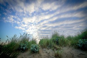 Dunes, mer aux Pays-Bas sur Dirk van Egmond